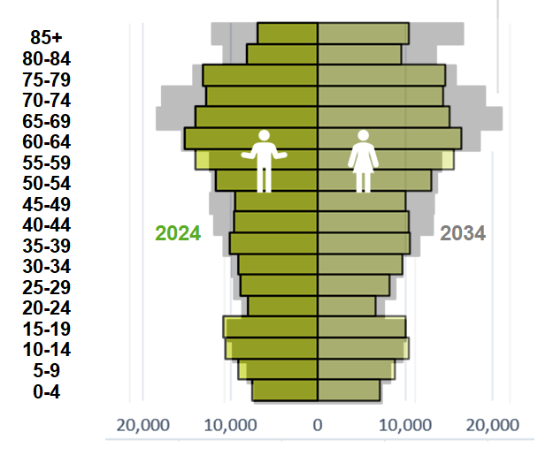 Dorset Council population 2024 to 2034
